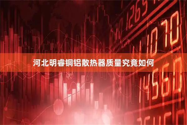 河北明睿铜铝散热器质量究竟如何