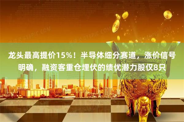 龙头最高提价15%！半导体细分赛道，涨价信号明确，融资客重仓埋伏的绩优潜力股仅8只