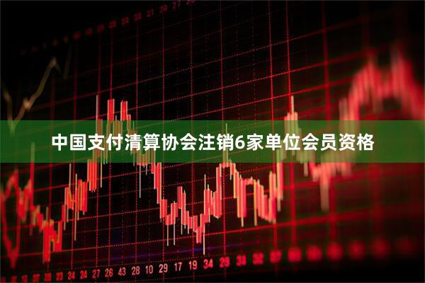 中国支付清算协会注销6家单位会员资格
