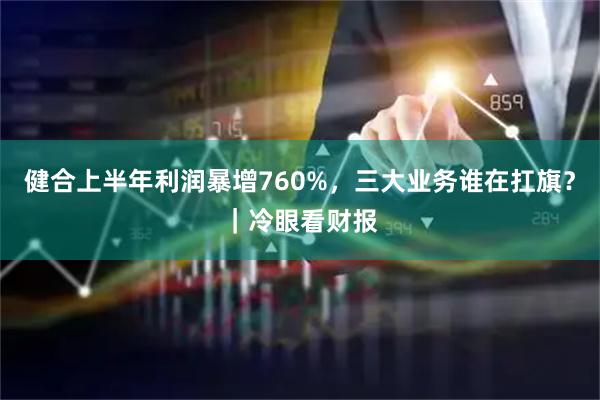 健合上半年利润暴增760%，三大业务谁在扛旗？｜冷眼看财报