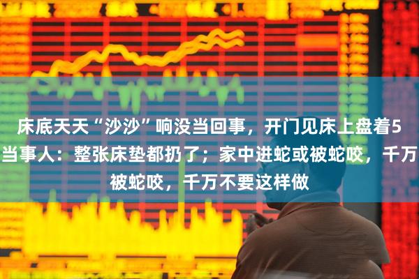 床底天天“沙沙”响没当回事，开门见床上盘着5斤重大蛇，当事人：整张床垫都扔了；家中进蛇或被蛇咬，千万不要这样做
